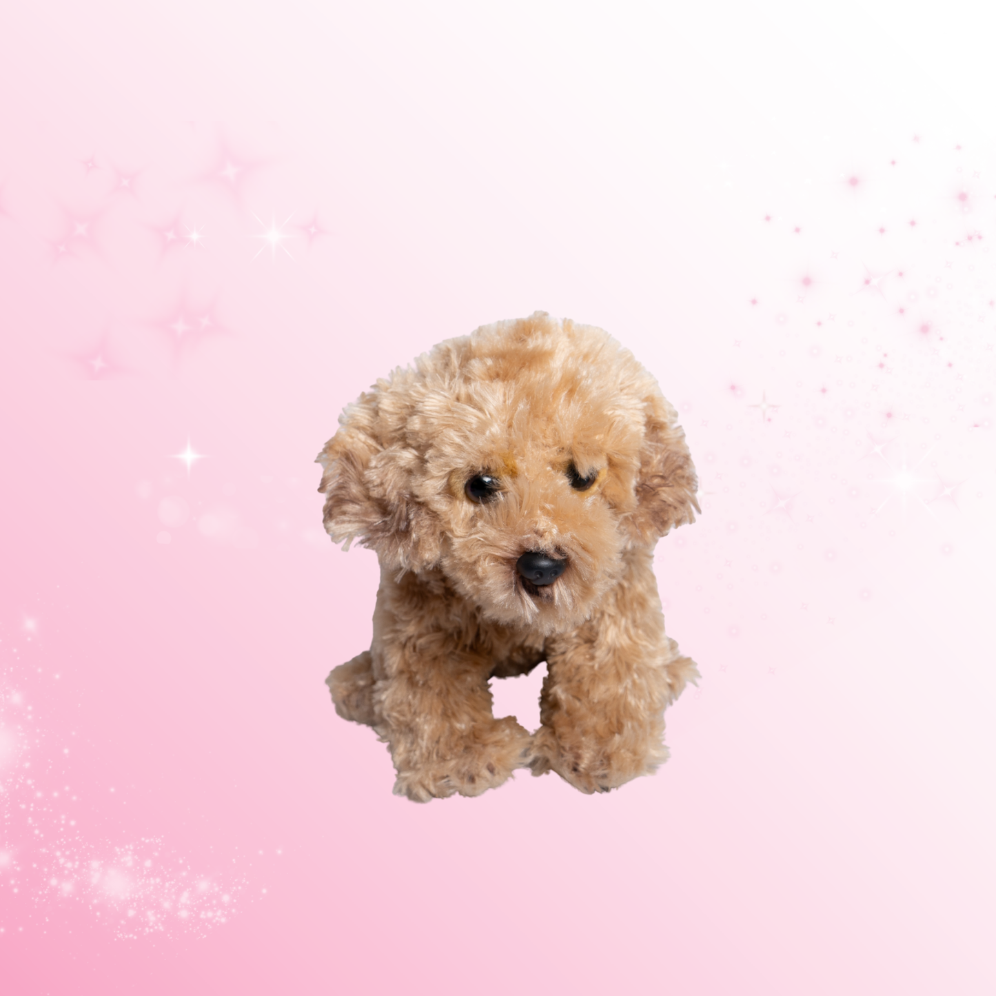 The Kenley Dog – Milo