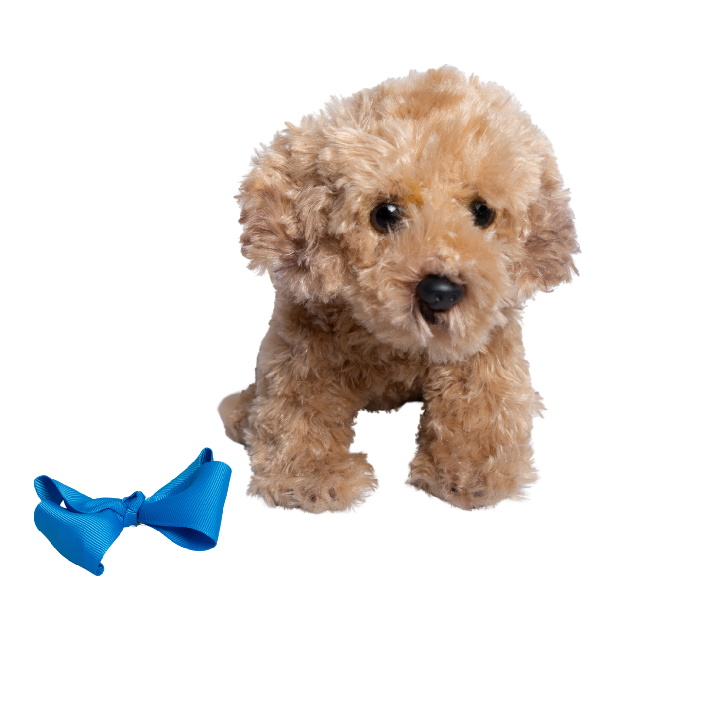 The Kenley Dog – Milo