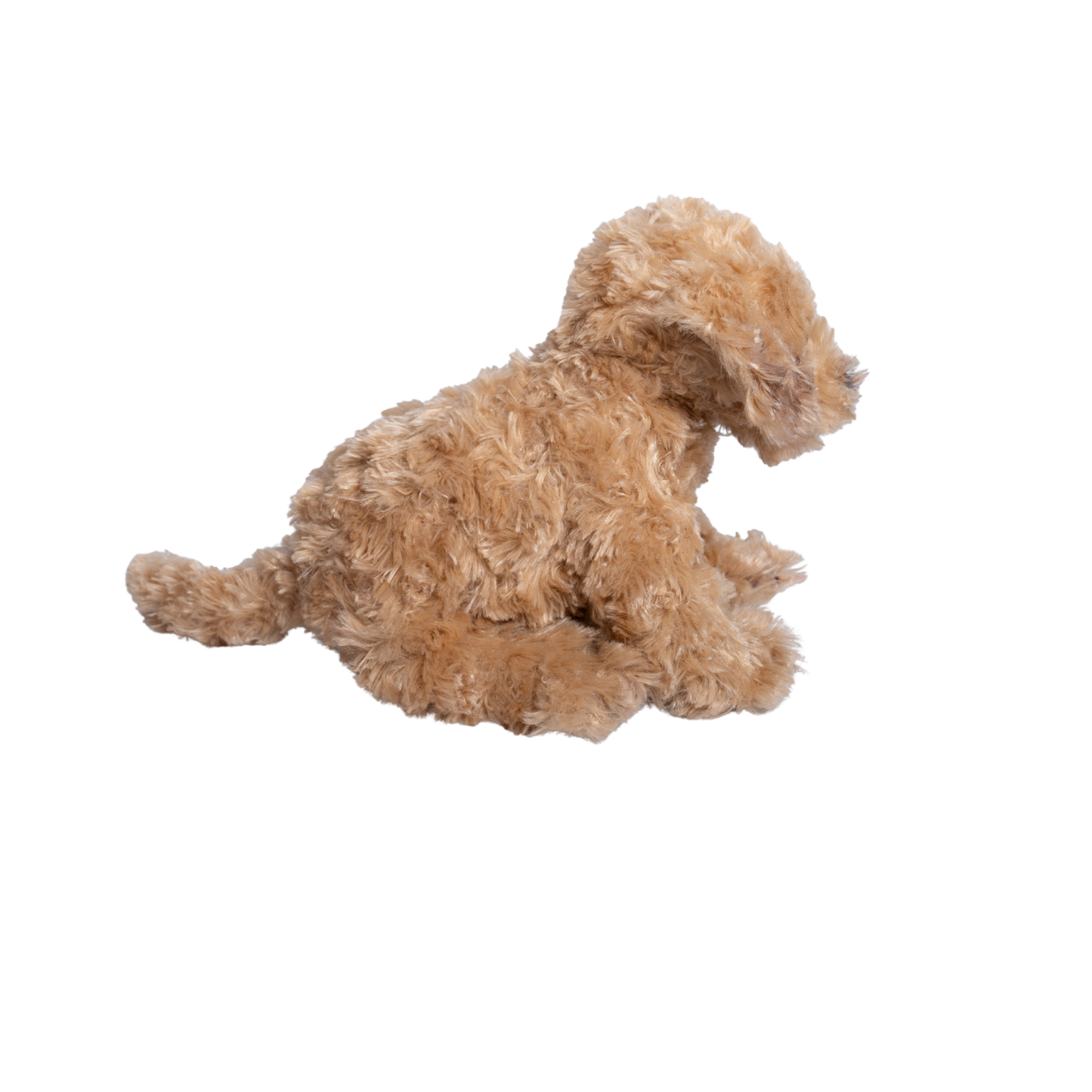 The Kenley Dog – Milo