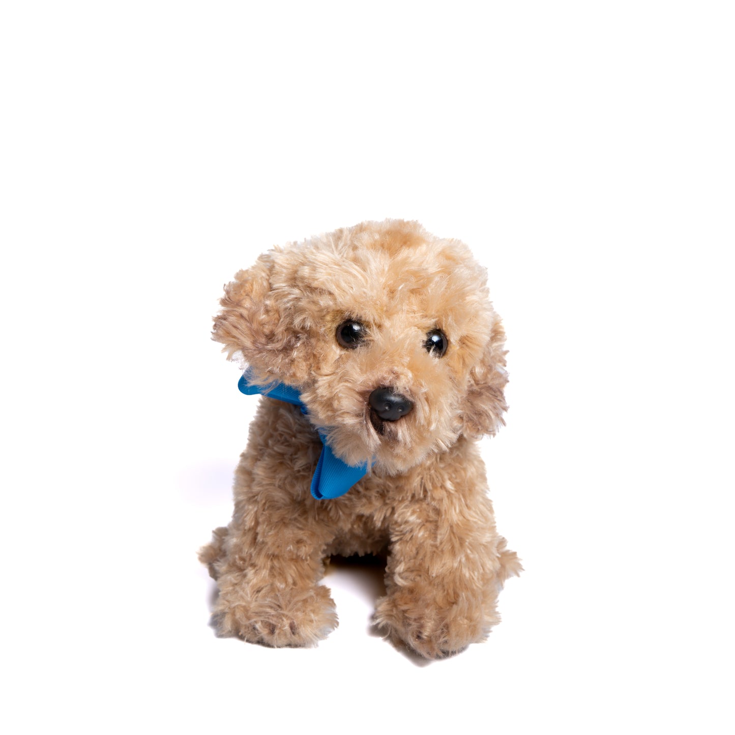 The Kenley Dog – Milo